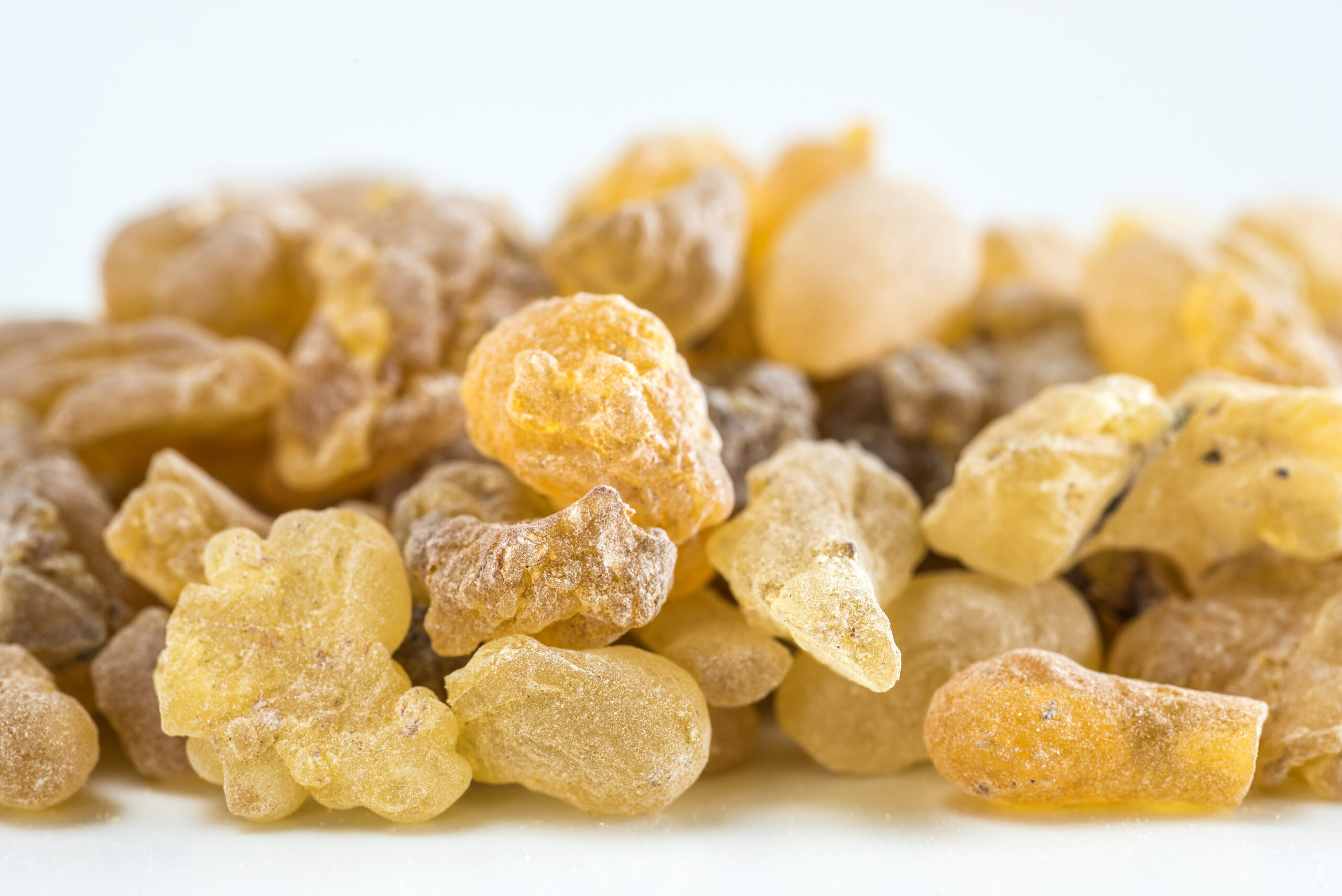 boswellia resin boswellia resin