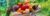 Man,Farmer,With,Homemade,Vegetables,In,His,Hands.,Selective,Focus.
